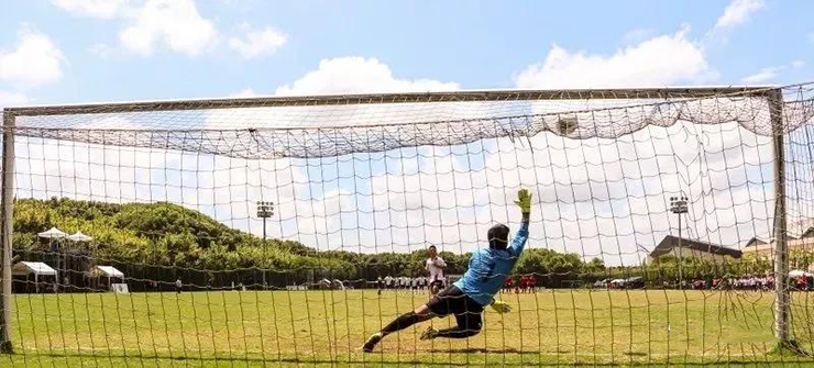 1548138691931046.jpg 1-.jpg