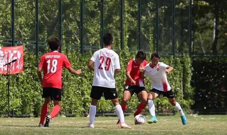 1548138765805724.jpg 3-.jpg